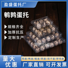 一次性塑料鹌鹑蛋托透明加厚6/12/18/20/24/30枚鹌鹑蛋包装盒防震