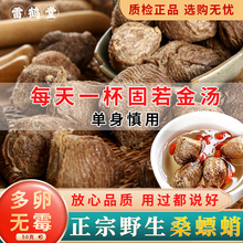 桑螵蛸泡水材桑螵蛸野生熟桑螵蛸可配菟丝子粉山茱萸