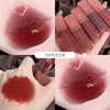 Swan, lip gloss, matte cosmetic lipstick, wholesale