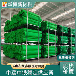 护坡固土三维植被网高速边坡三维网植草网土流失hdpe生态护坡