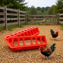 �J���uιʳ��ˮ��С�u�Ԅ�ιˮ�ˮ�������g�����ιʳ��ʳ̨�ϲ�