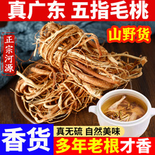 广东五指毛桃野生煲汤材料五爪龙河源土特产牛奶根土茯苓干泡酒