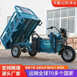 电动三轮车;电动代步车;沙滩车