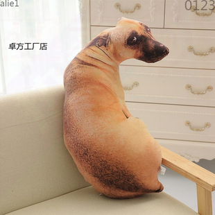 ����������������ë�q��߄����ʿ�湫�д�̖�ɐ�Ů��˯�X��ż