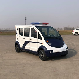 其他电动车;电动观光车;高尔夫球车