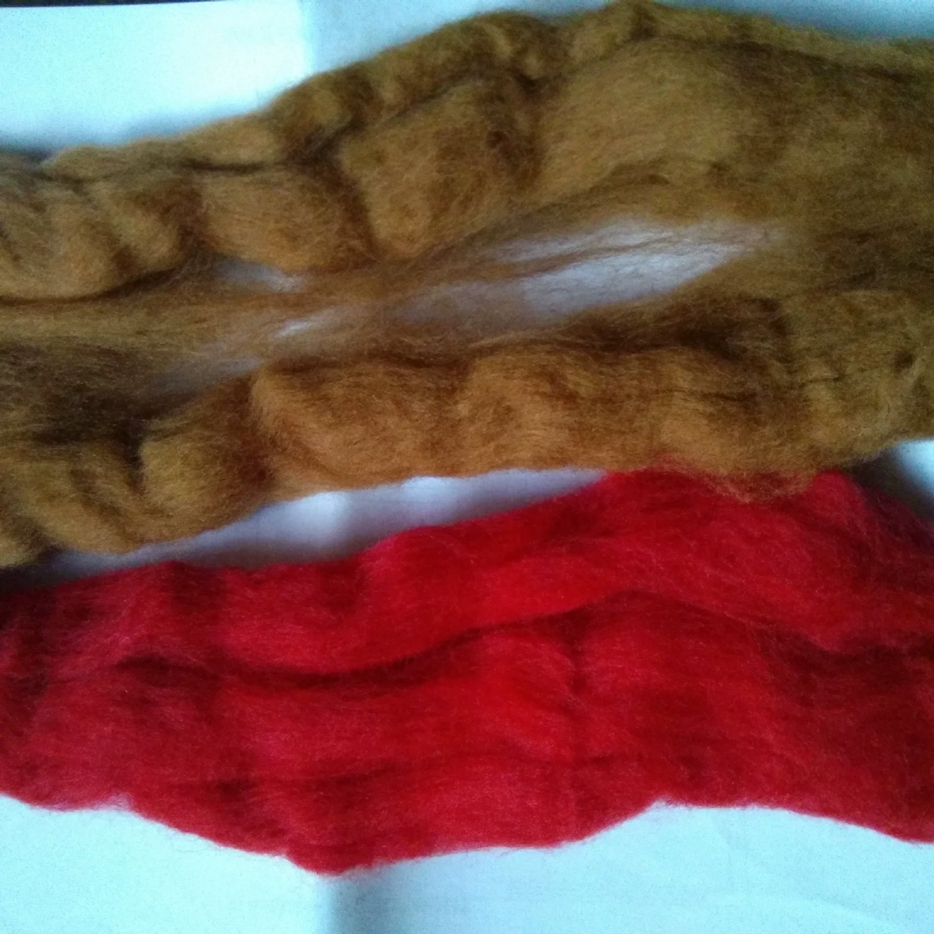 Chromosome