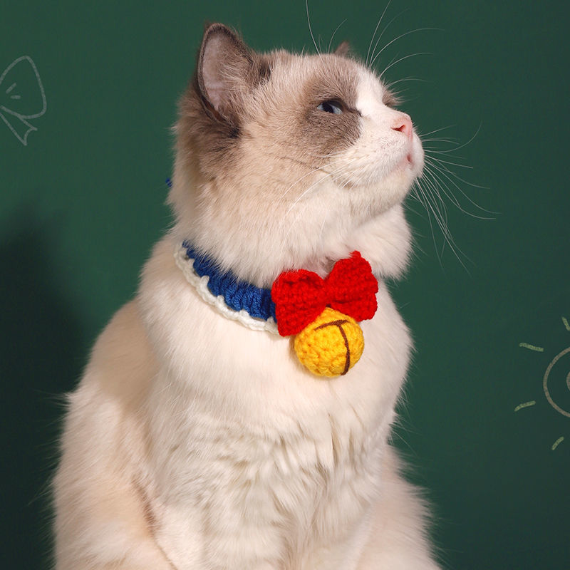 블루 레이스★★★뜨거운 판매