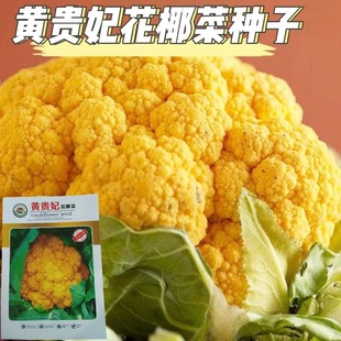 �S�F����Ҭ�˷N�ӻ��˷N�ѾG�S�ϻ��˷Nԭ�b�ļ��߲˷N�Ӵ�ȫ���l