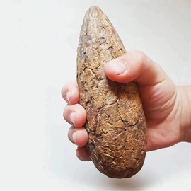 佛珠/念珠;手串;宗教法器