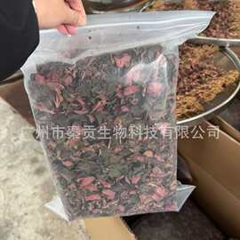 大叶红霞金线莲纯叶福建红霞批发散装干货养生茶煲汤煲水滋补品