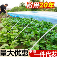 温室大棚骨架玻璃纤维小拱棚支架地膜蔬菜棚拱杆玻璃钢支撑条农用