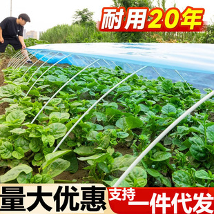 Greenhouse skeleton glass fiber small arch bracket plastic film vegetable shed arch rod glass fiber reinforced plastic support strip agricultural