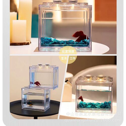 Thai Betta Fish Tank Internet Celebrity Mini Desktop Ecological Bottle HD Small Building Blocks Aquarium Micro Landscaping