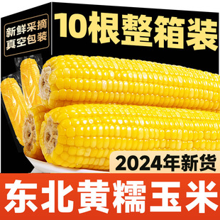 �|������Ŵ����Ŵճ��ʳ�SŴ���������b�2024��պ�����������r