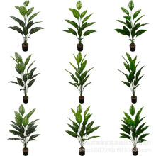 �羳���ͷ���Gֲ���˽� �Ž��~�٘����Ա��W�L�Ҿ��b����[��