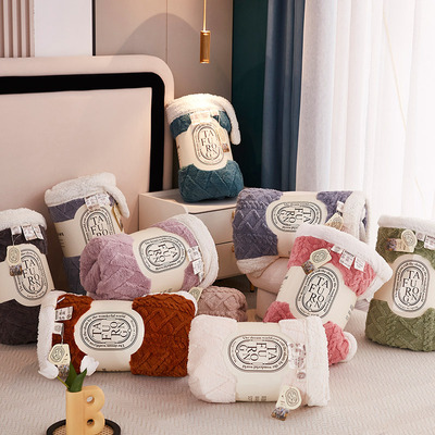 厂货通新款A版塔芙绒B版羊羔绒毛毯秋冬提花毯子双层加厚休闲毯子