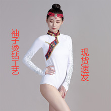 新款藏族舞蹈服女2023少数民族演出服民族风练功考艺半身大摆裙