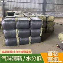 ������һ��100����a��ޣ�݃��|ţ�������ţ��ɽ�������˚��