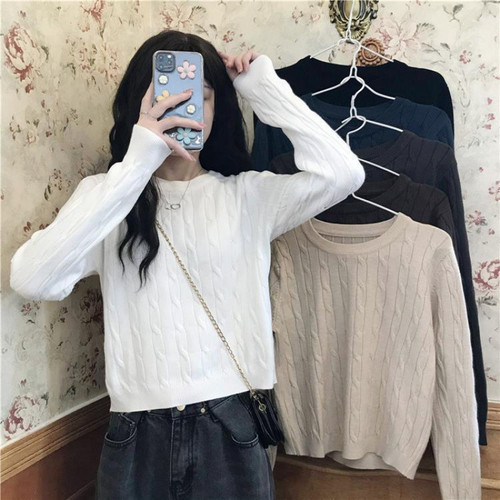 Autumn/Winter White Inner Layer Crew Neck Top 2025 New Korean Style Loose Slimming Broom Flower Long Sleeve Knit Top for Women