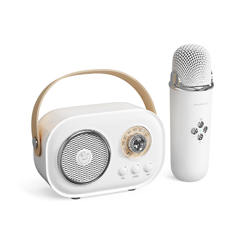 C20PLUS マイク内蔵スピーカー Bluetoothスピーカー カラオケ 子供用 歌唱 家庭用カラオケ Bluetooth5.1|undefined