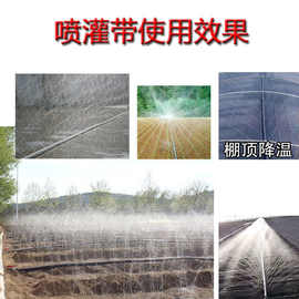 浇地用的水管农用喷带管水带主管微喷带雾化灌溉喷灌设备农田灌溉
