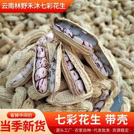 干果生货;生花生