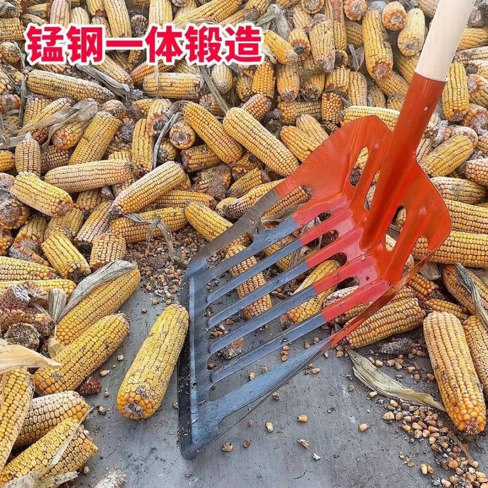 8be86906-5246-4584-b5c8-cbd73ae5ab87.jpe