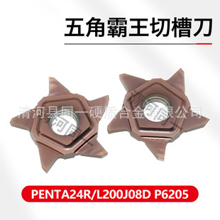 Cnc Tool Pentagonal Grooving Tool Penta24R/L200J08D P6205 Stainless Steel Processing Blade