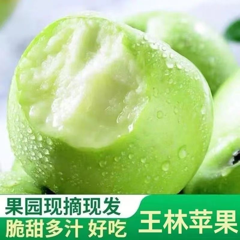 山东王林苹果现摘当季脆甜孕妇新鲜水果青森丑苹果整箱4.5斤批发