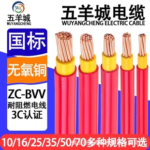 Wuyangcheng Double-Insulated Bvv Home Decoration National Standard 1.5 2.5 46 10 Square Single-Core Hard Wire Loose Cut Meter Wholesale