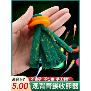Floating Fish Egg Collector for Viewing Backfinned Killifish Eggs, Specialized Fish Egg Collection Tool in Multiple Colors