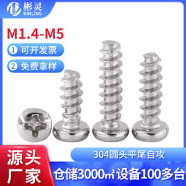304不锈钢圆头自攻螺丝钉PB十字盘头平尾木螺钉M1.4M1.7M2M3M4M5