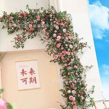 �W�t����õ���������{�ړ��ٻ������b��Nޱ���滨��������õ�廨