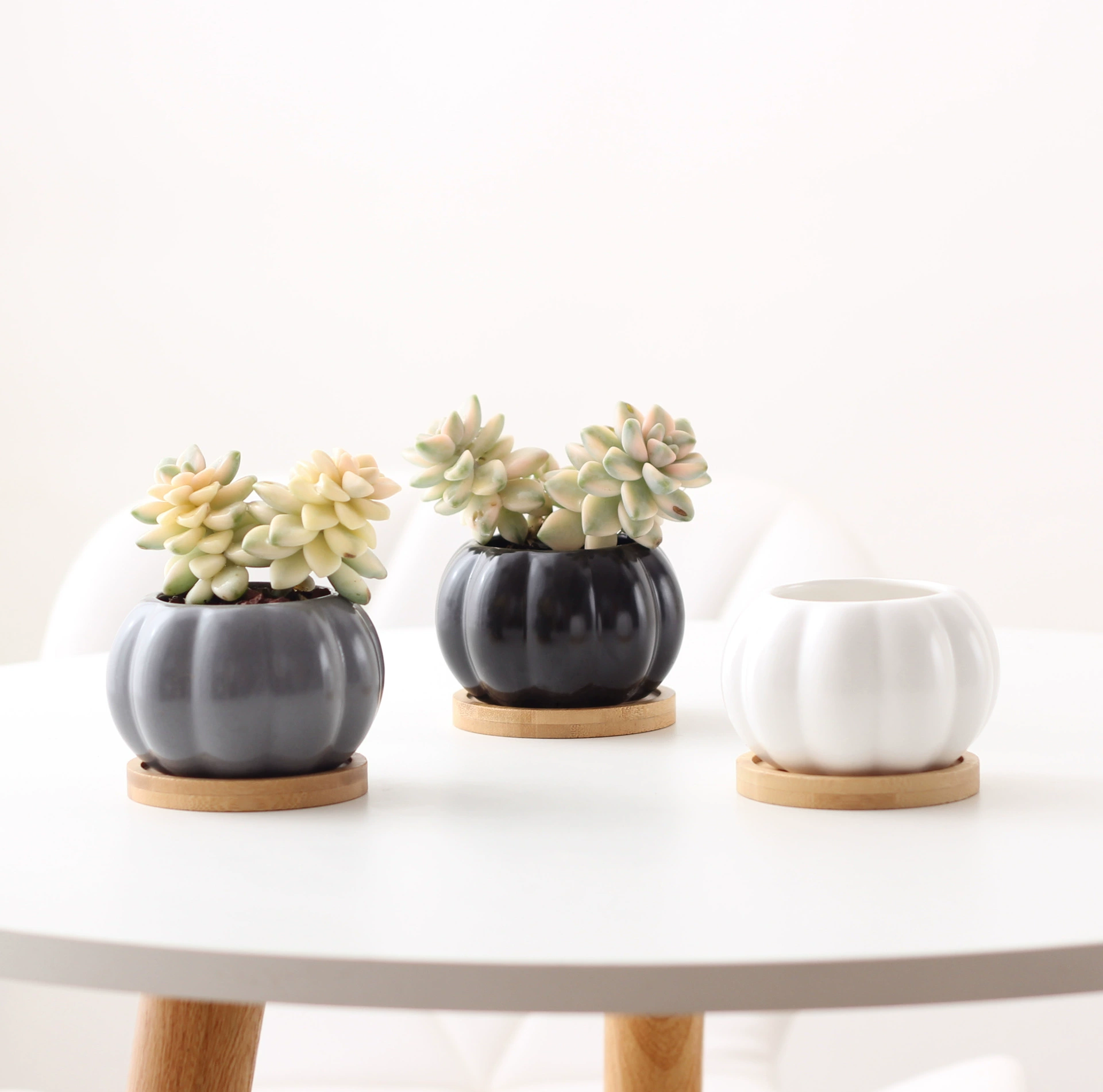 Новый мясистый керамический черно-белый серый тыквенный цветочный горшок небольшого размера сочный зеленый Растительный мясной цветочный горшок