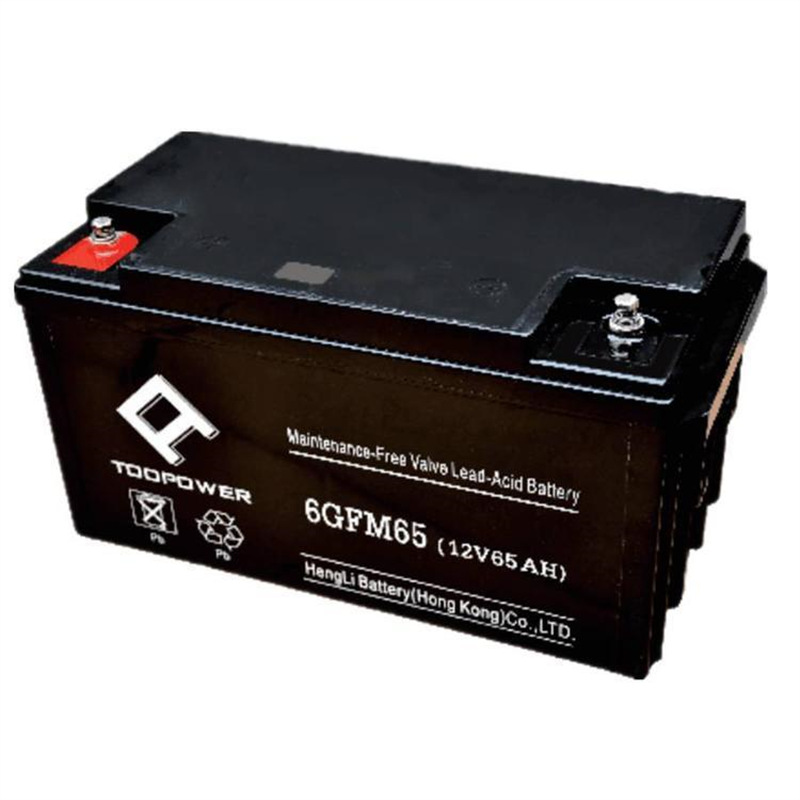 TOOPOWER天力电讯设备专用蓄电池6GFM65 12V6H