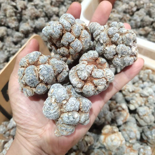 ����  �����ɽ��Ʒ40�^30�^20�^16�^12�^���^���� ����Ƭ ��ĥ��