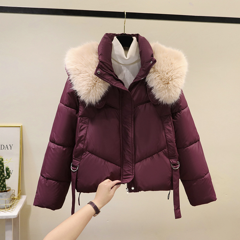 Invierno de 2025, ropa de algodón corta de moda coreana, abrigo de algodón de cuello vertical, abrigo de mujer grueso, cálido y suelto.