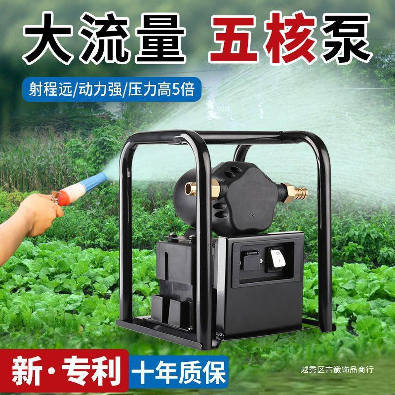 大功率充电浇菜水泵户外农用灌溉抽水机12V高压水泵大流量抽水泵