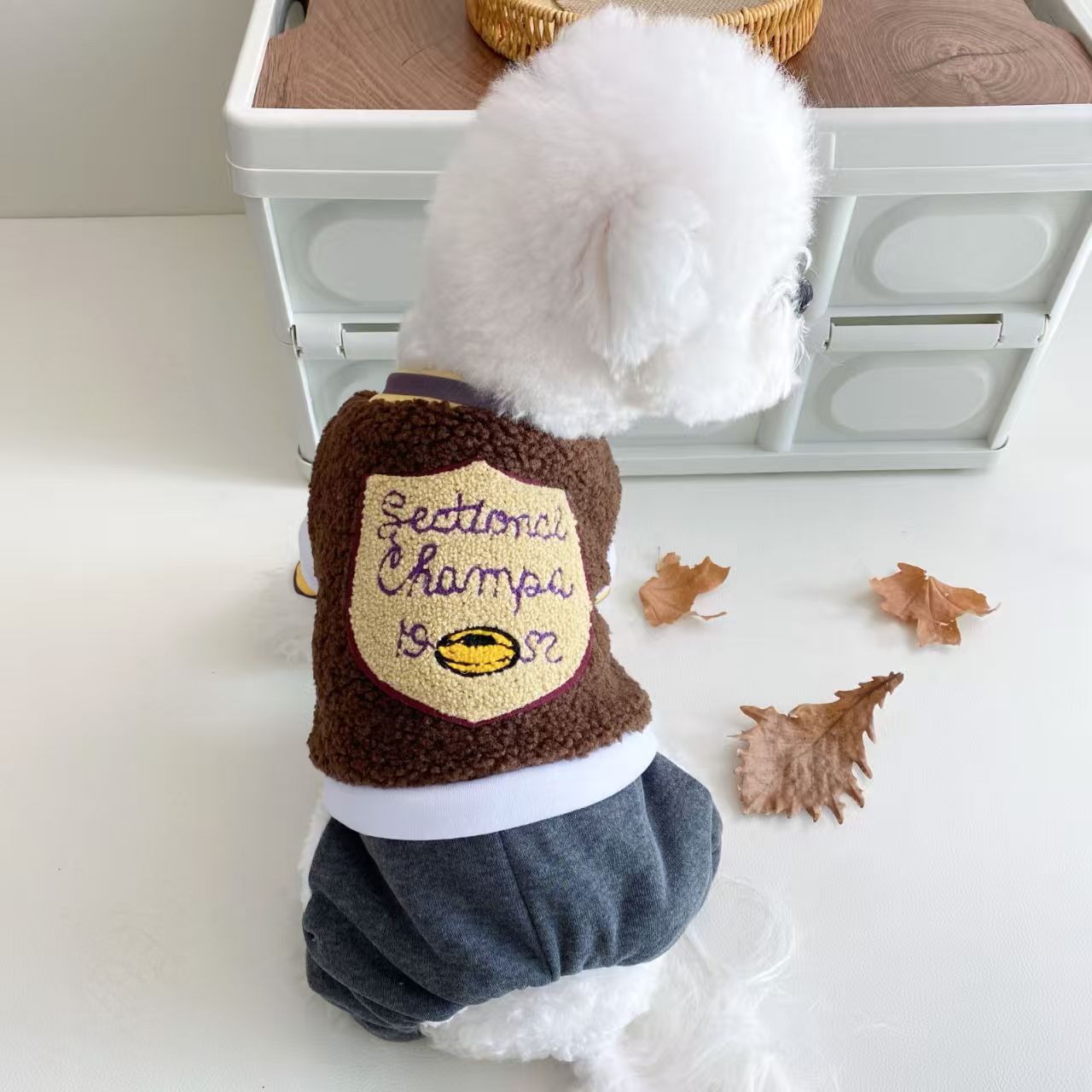 갈색 럭비 배지