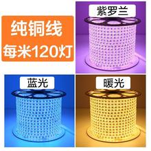 室外LED软灯带防水12V24伏高压免驱动220V蓝光绿光红光灯七彩变光