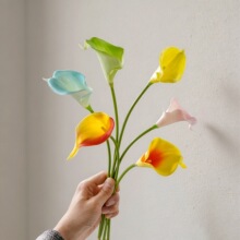 PU�����R��ɏ�ٻ��Gֲ�����l��c�b�ˇƷINS�L�羳���滨�S��