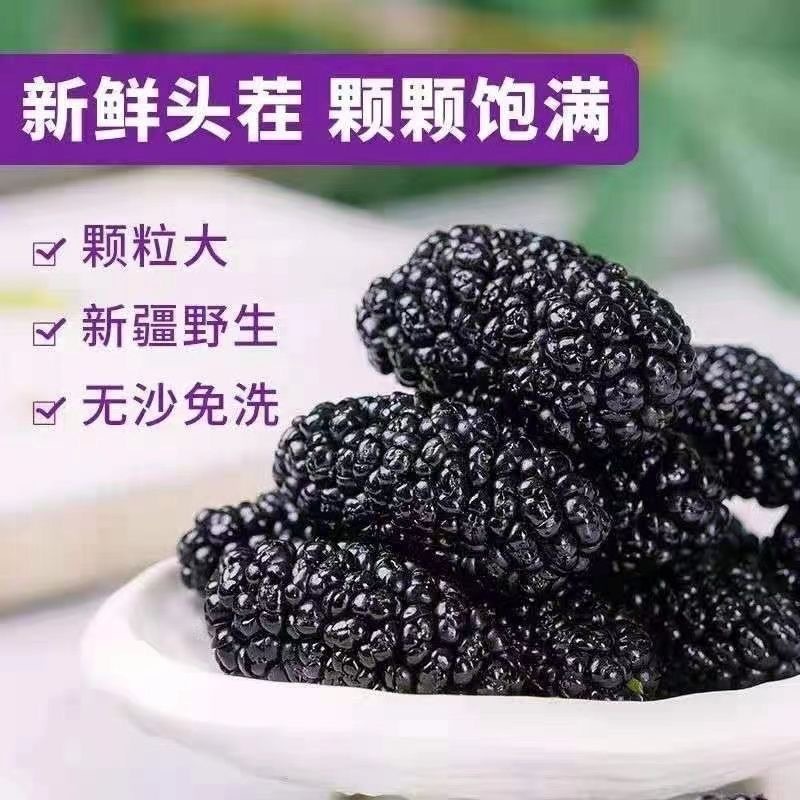精选大颗粒批发桑葚干免洗无沙桑新疆罐装特级大果天然桑椹优选