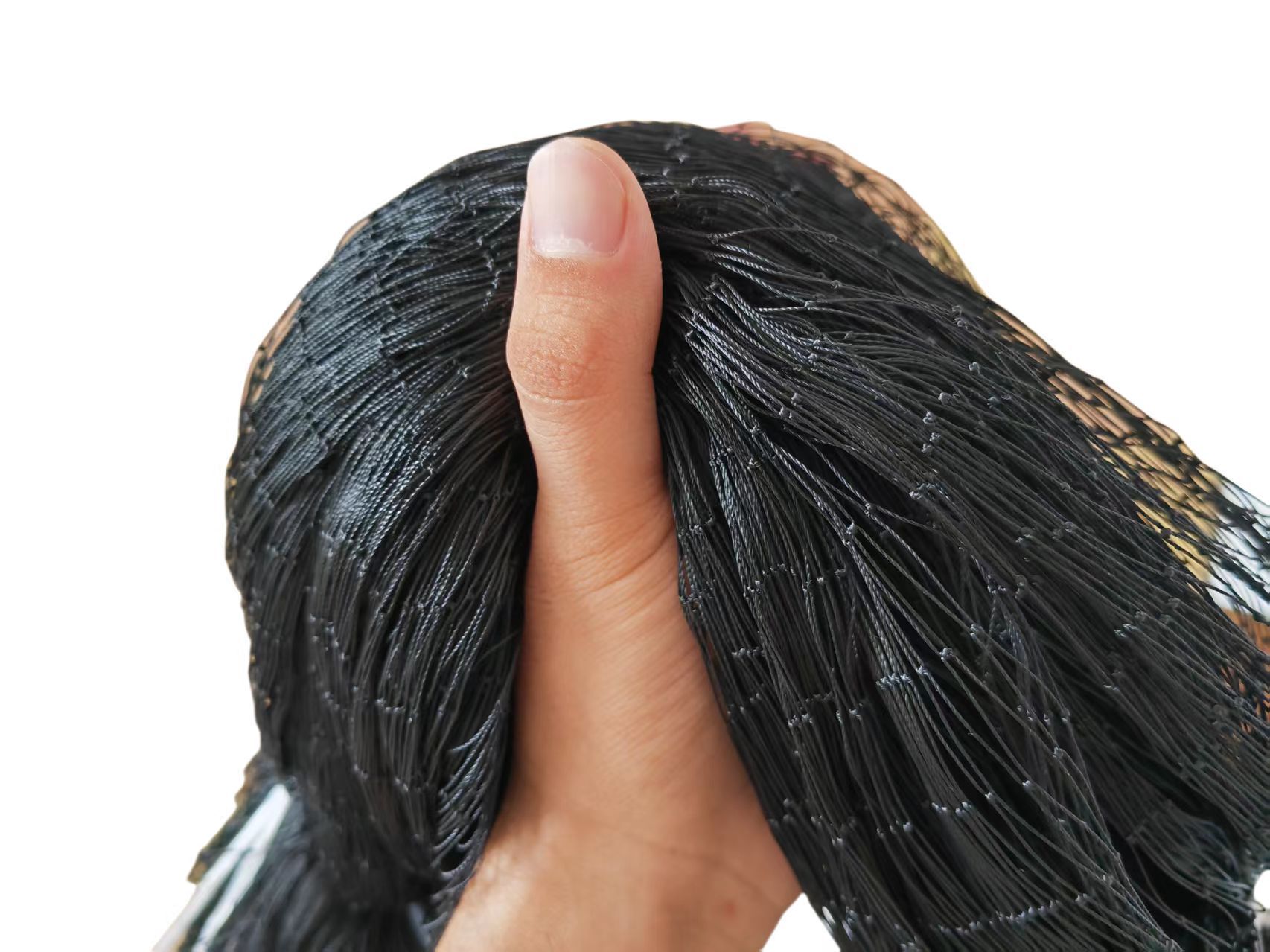 微信图片_20250915233758