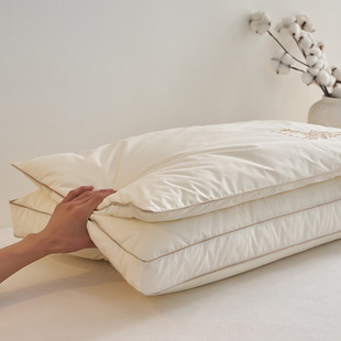 Luxury Silk Pillow Core Factory 2025 New Chinese Style Class a All-Cotton Double-Layer Silk Pillow Core Breathable Lyocell