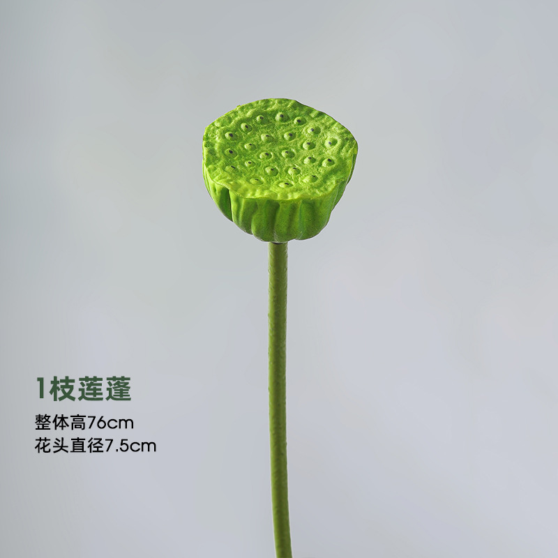 [고품질] 연꽃 꼬투리 1개(느린 리바운드 느낌 복원 99%)