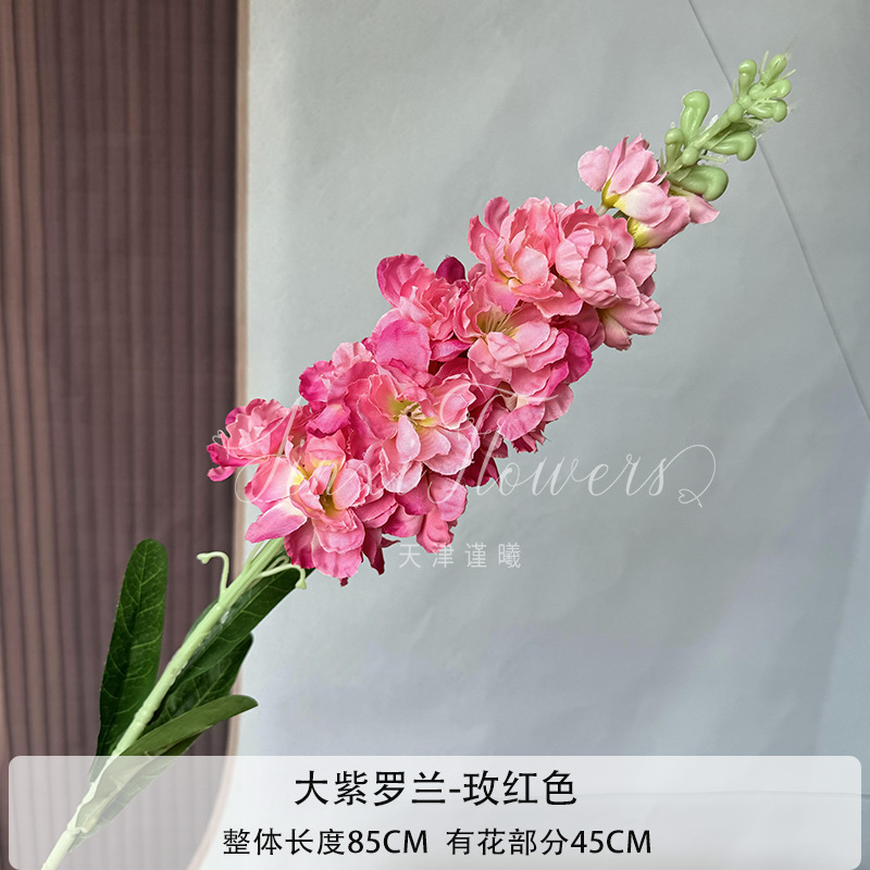 로즈 레드