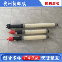 ꎘO�Ӿ�T�bꖘOĤ�� ��ʽꖘO�� �Ӿ�������x�ӽ��QĤ��