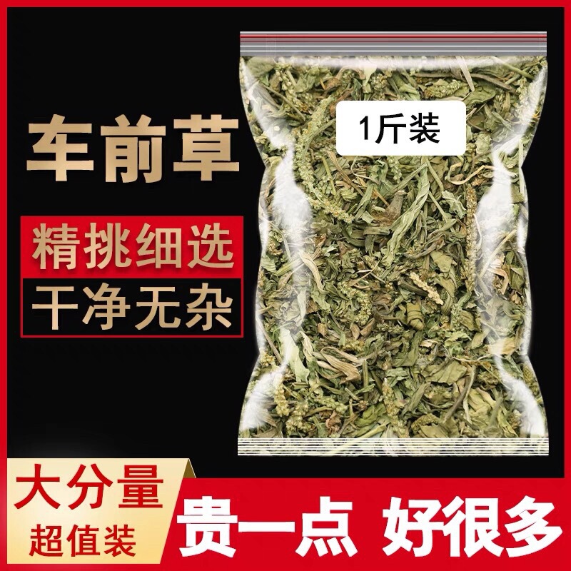 Plantain 500g Chinese Herbal Medicine Plantain Dried Goods Tea Bags Fresh Wild Soaked in Water to Drink Guangxi Wild Sulfur-Free