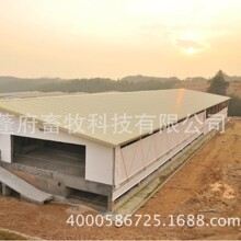 �i�������� ��ɫ�Ӻ��Bֳ���� �{ɫ��Ĥ������  ������