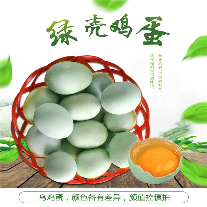 深子湖绿壳乌鸡蛋农家散养绿壳蛋笨鸡蛋厂地一件代发鲜蛋土鸡蛋